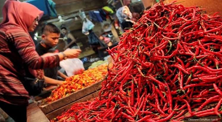 Harga Cabai ‘Mengamuk’, Ini Solusi Kendalikan Harga