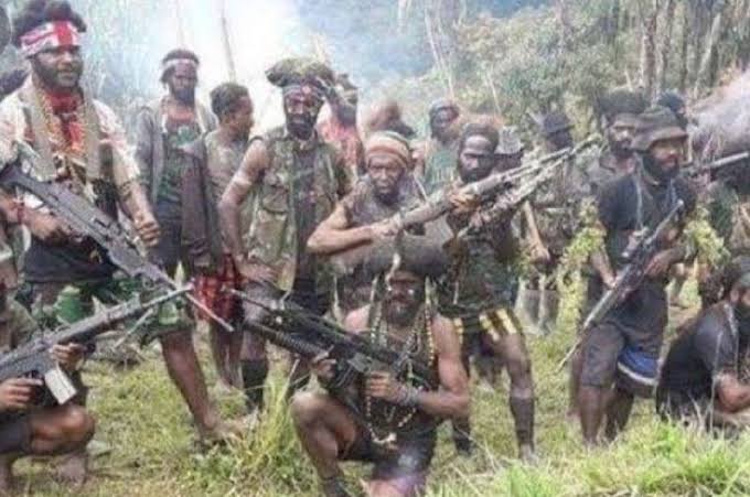 Sangat Brutal dan Terus Tembaki Rakyat, KKB Harus Ditumpas Habis!