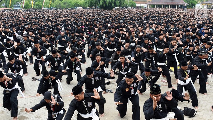 Bestie Koma, Tahu Gak PSHT Telah Berusia Satu Abad Lho…