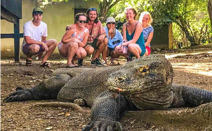 Harga Tiket Tembus Rp3.750.000, Wisatawan Batal ke Pulau Komodo
