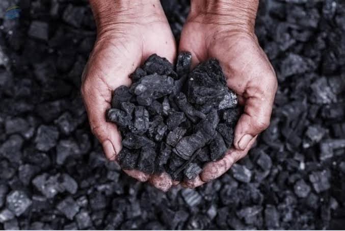 Harga Batu Bara Naik Perusahaan Profit, Tapi Pasokan Dalam Negeri Bisa Defisit