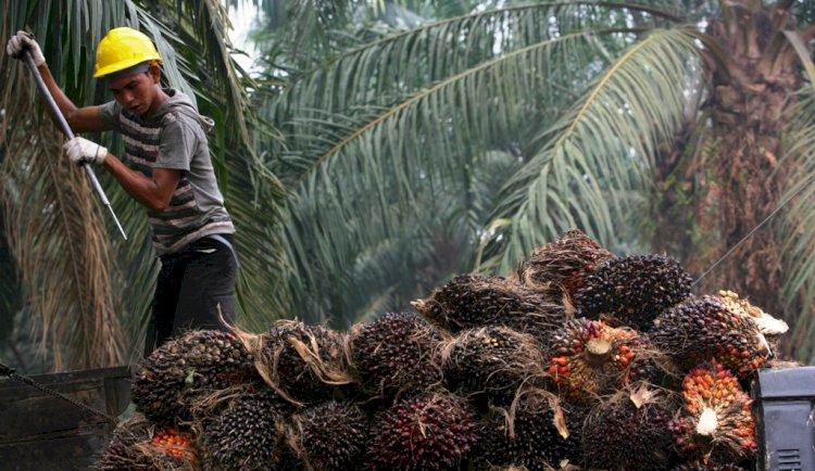 JARI 98 Apresiasi Ketegasan Kapolri Sikat Pungli “Stop Tilang Manual” & Gelar Acara Hari Santri Nasional