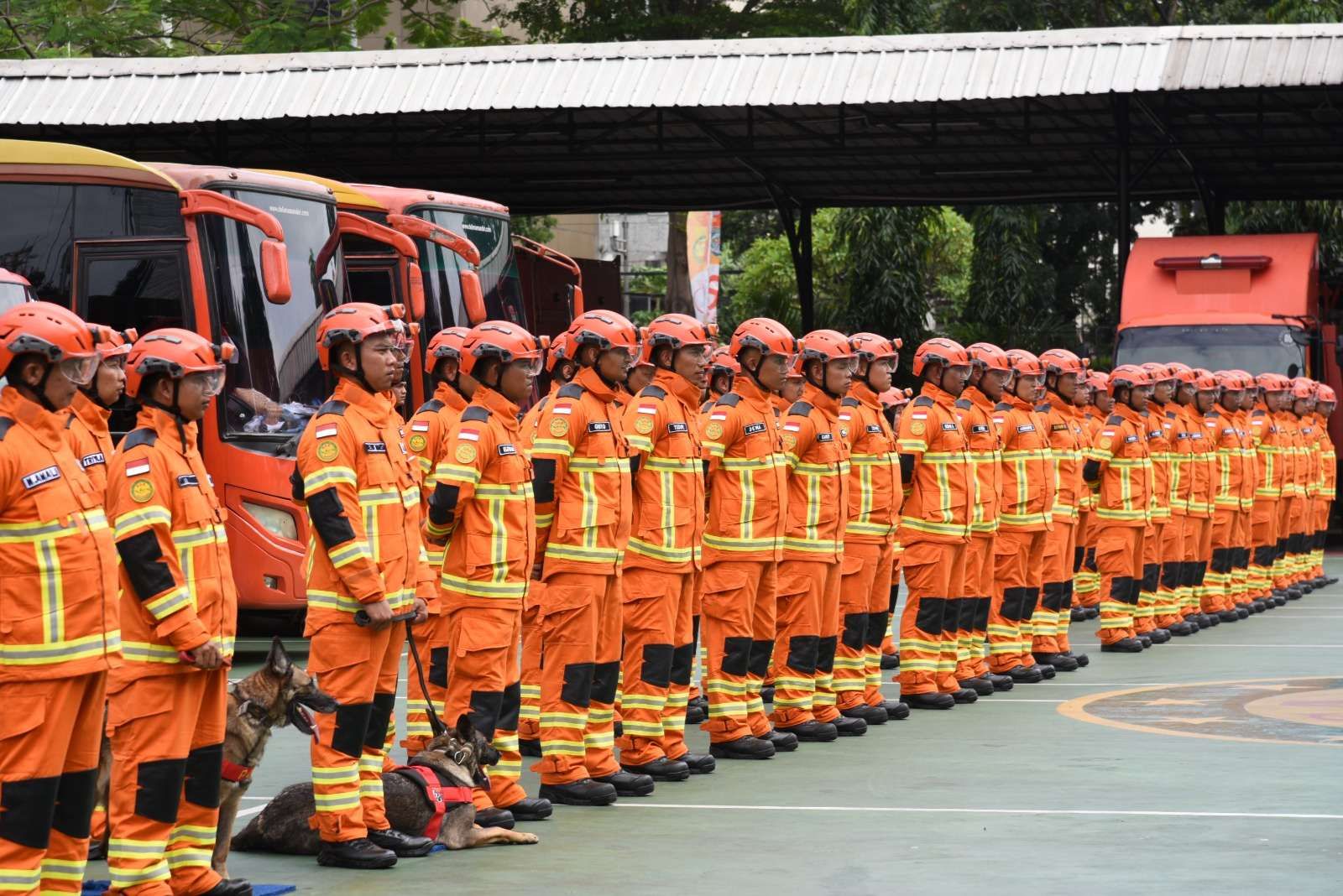 Pemerintah Indonesia Kerahkan Tim SAR beserta Anjing Pelacak untuk Bantu Korban Gempa Turki