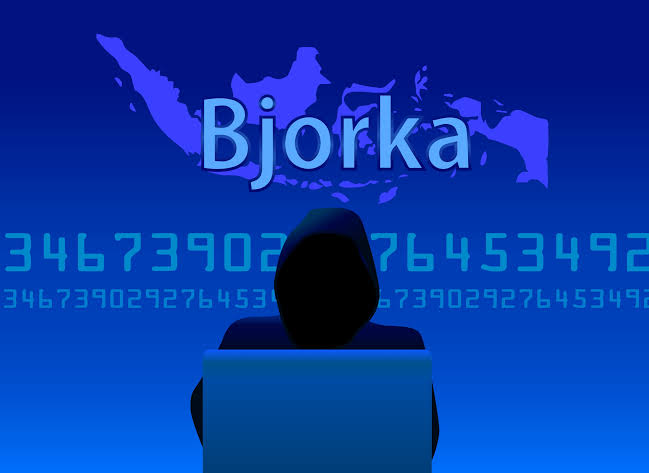 Bjorka Retas Data Polri, Pakar: Data Sampah, Tak Signifikan Tidak Sesuai Klaimnya