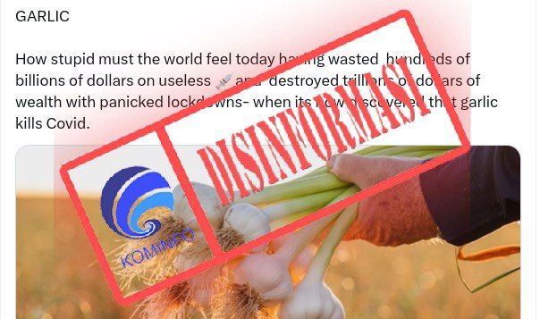 Bawang Putih Efektif Cegah Covid-19 daripada Vaksin? Simak Faktanya