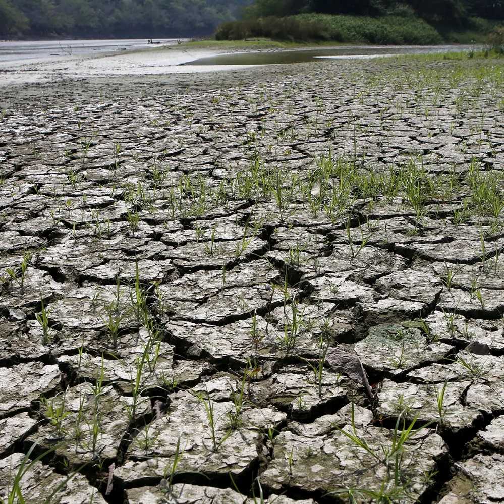Siaga El Nino 2023, Pemerintah Siapkan Langkah Antisipasi