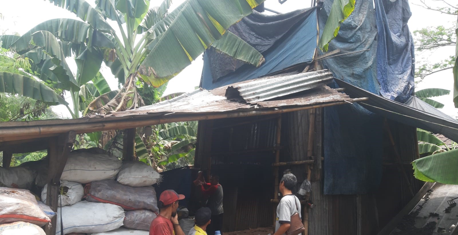 Pabrik Pembakaran Arang Pencemar Lingkungan di Lubang Buaya Ditutup