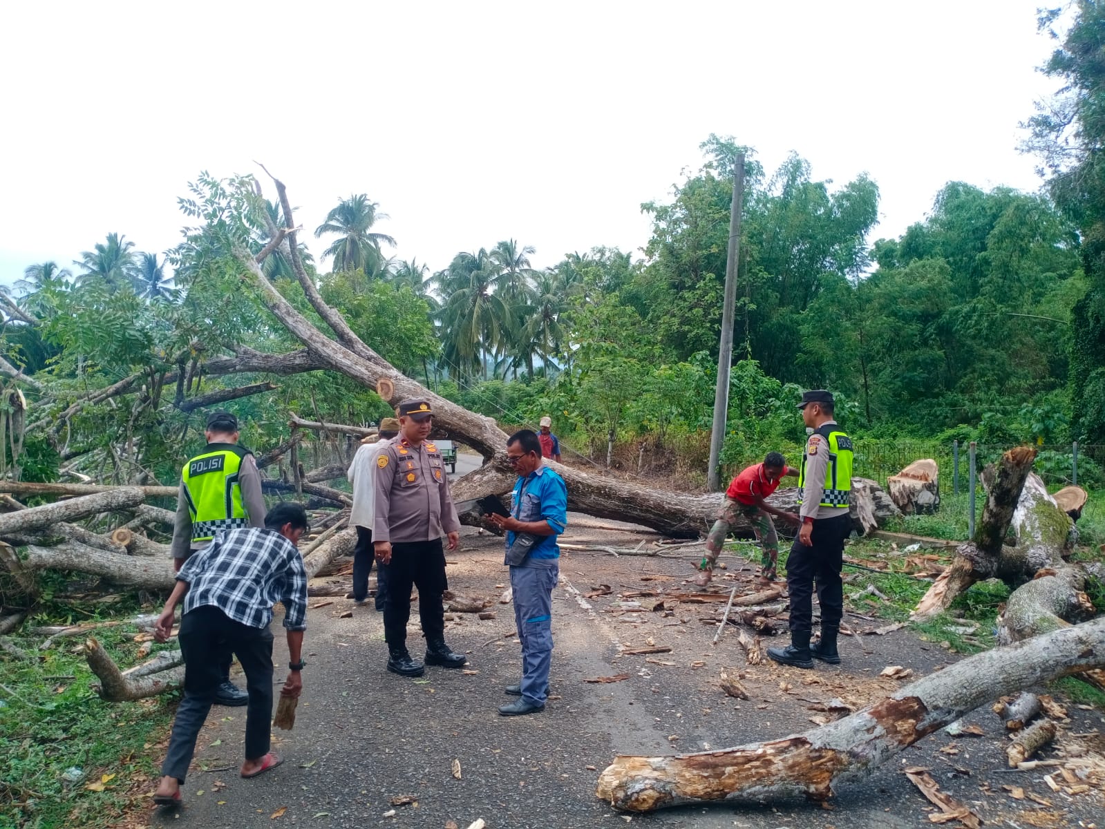 Quick Respons Jumat Curhat, Kapolsek Panteraja Bantu Evakuasi Pohon Mati yang Bisa Bahayakan Pengguna Jalan di Gampong Teungoh