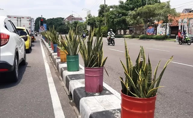 Lidah Mertua di Surabaya