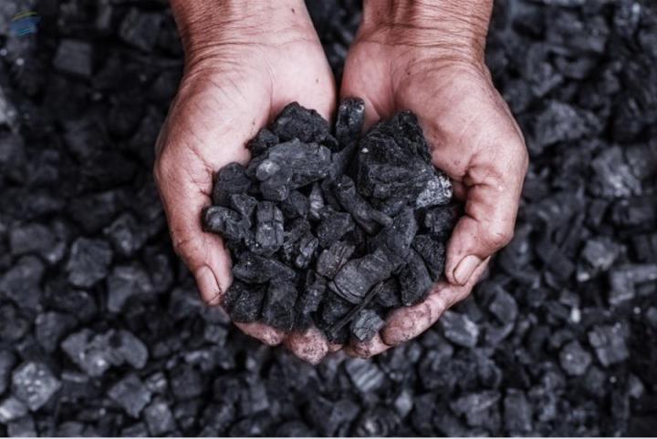 Harga Batu Bara Bangkit Dari Keterpurukan, Indonesia Bersorak