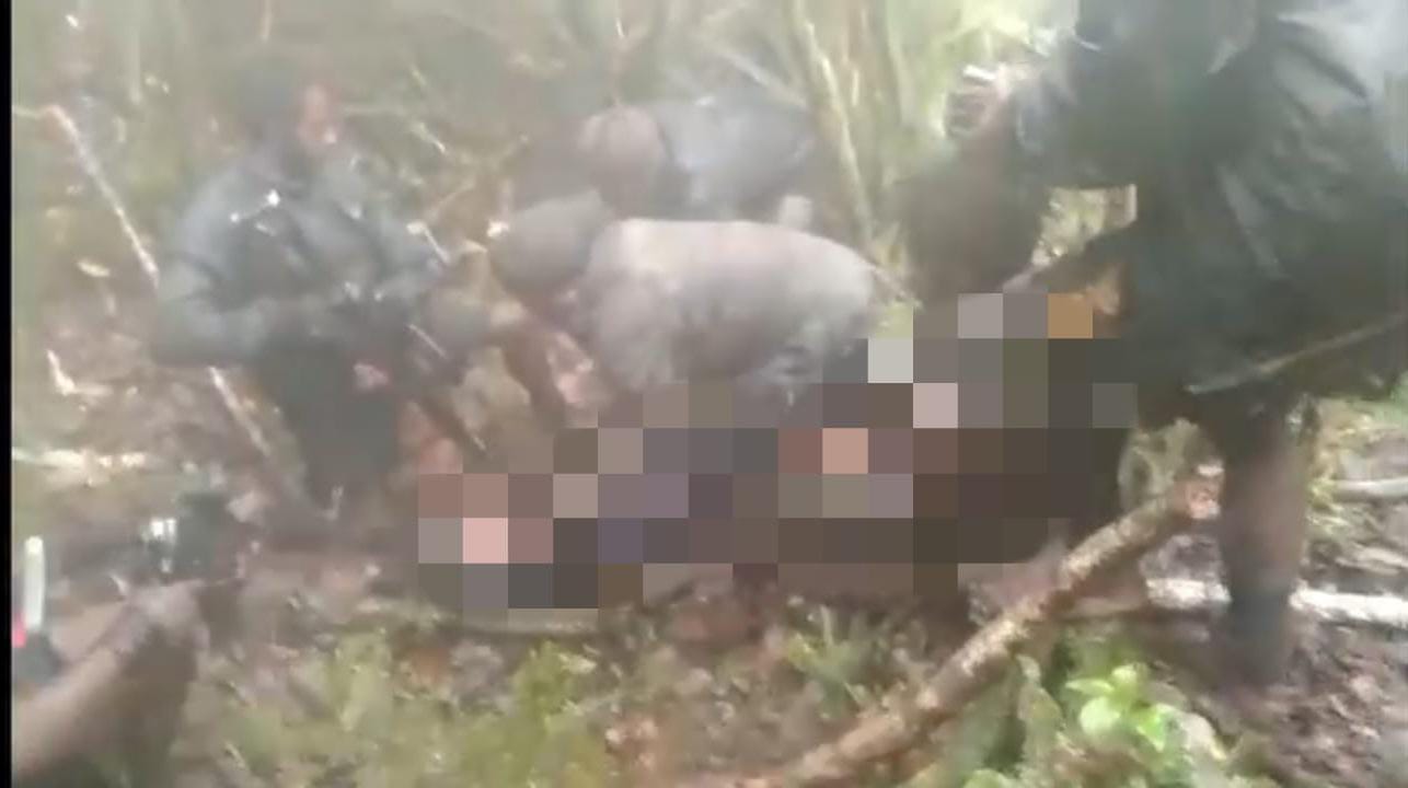 Kejamnya KKB Mutilasi Korban! Tak Berperikemanusiaan & Jelas-jelas Melanggar HAM