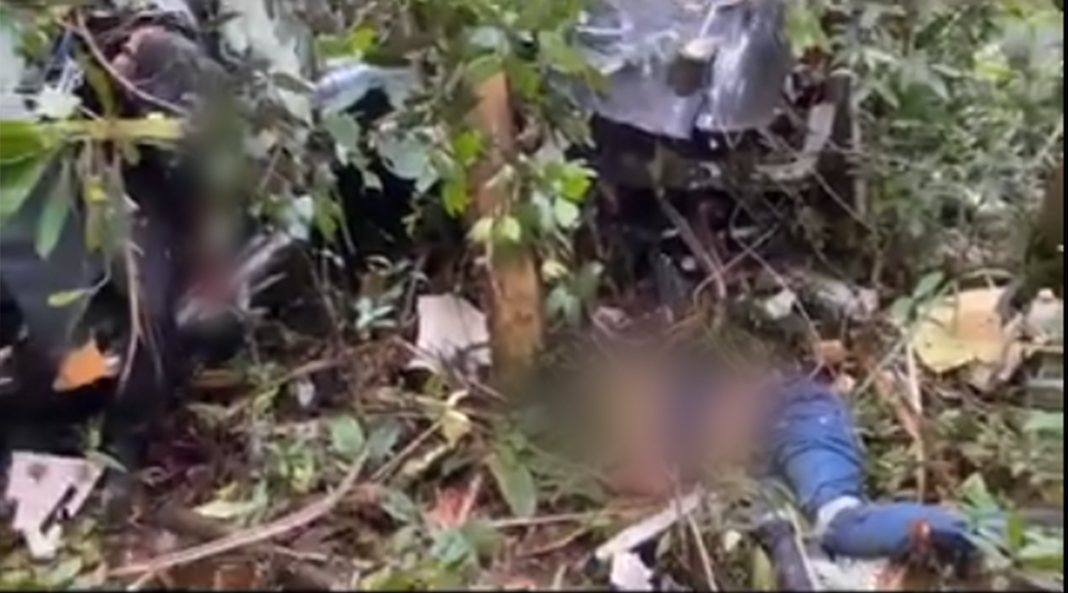 Korban Helikopter Jatuh di Ternate Berhasil Di Evakuasi Basarnas