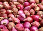 Bawang Merah Melambung, Menteri Perdagangan Teguh Tak Impor
