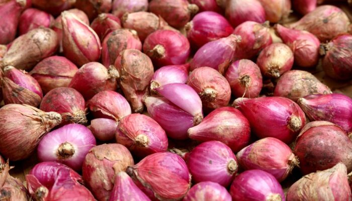 Bawang Merah Melambung, Menteri Perdagangan Teguh Tak Impor