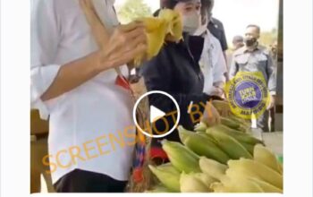 Hoaks Jokowi Lakukan Uji Coba Program Makan Siang Gratis