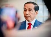 Jokowi Bentuk Satgas Buru Pelaku Judi Online