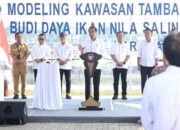 Jokowi Resmikan Model Kawasan Tambak Budi Daya Ikan Nila Salin di Karawang, Miliki Luas 80 Hektar
