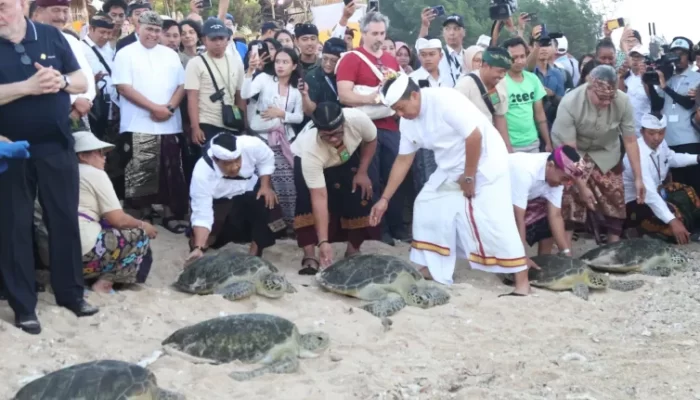 Lepas 600 Tukik, 1000 Burung dan 30 Penyu, Bali Nice Dukung WWF