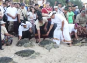 Momen WWF ke-10 di Bali, Indonesia Cetak Berbagai Rekor