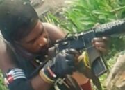 Satgas Bekuk Junius Waker, Anggota KKB Pimpinan Goliath Tabuni