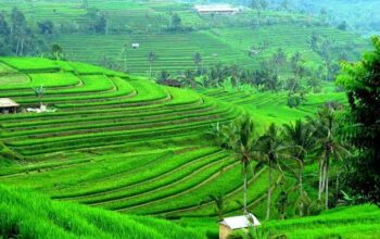Masyarakat Bali Diimbau Dukung WWF, Masa Depan Pangan Tergantung dengan Air