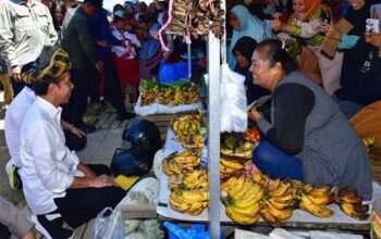 Kunjungi Pasar Laino Raha, Jokowi Disambut Antusias Lautan Masyarakat Muna