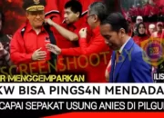PDIP Mantap Usung Anies di Pilgub Jakarta? Cek Faktanya