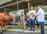 Pemprov Siapkan Tempat Pemotongan Hewan Kurban