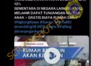 Tidak Benar Ibu Melahirkan Kena Pajak 12 Persen, Ini Faktanya