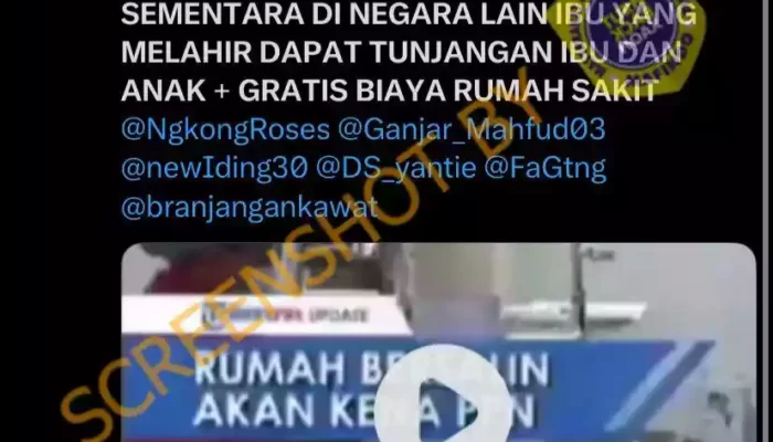Tidak Benar Ibu Melahirkan Kena Pajak 12 Persen, Ini Faktanya
