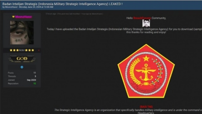 Data BAIS TNI Diretas, Server Langsung Non Aktif Guna Penyelidikan