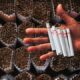 Tantangan dan Harapan Industri Rokok Sambut Kebijakan Cukai 2025