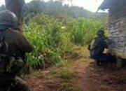 Terus Diteror KKB, Warga Paniai Minta Dibangun Koramil dan Polsek