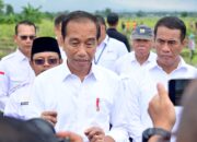Presiden Jokowi Sebut Potensi IKN Dongkrak Pertumbuhan Ekonomi Sektor Pertanian bagi Daerah Sekitar