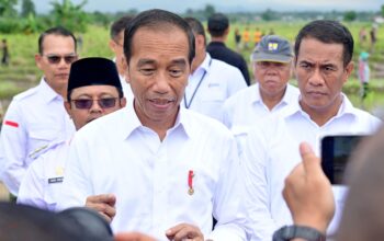 Presiden Jokowi Sebut Potensi IKN Dongkrak Pertumbuhan Ekonomi Sektor Pertanian bagi Daerah Sekitar