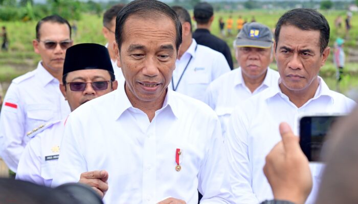 Presiden Jokowi Sebut Potensi IKN Dongkrak Pertumbuhan Ekonomi Sektor Pertanian bagi Daerah Sekitar