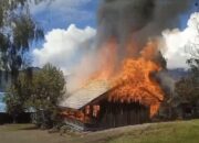 KKB Biadab Bakar Sekolah, Netizen: Mau Mereka Apa Sih? Didiemin Makin Bertingkah, Dikasarin Teriak HAM!