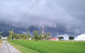 Mendung