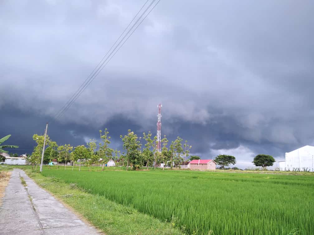 Mendung