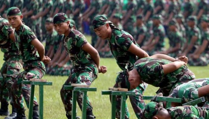 Penghapusan Pasal Larangan TNI Berbisnis, Koalisi Masyarakat Sipil : Menghapus Profesionalisme TNI