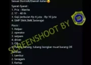 Waspada Penipuan Rekrutmen BUMN, Jangan Asal Klik Tautan
