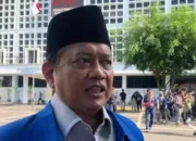 Sepakat dengan Jokowi, PAN : Demonstran Harus Dibebaskan, Aspirasi Jangan Dibungkam