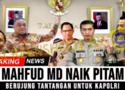 Mahfud MD Murka Berujung PPATK Tantang Kapolri soal Kasus Sosok T? Cek Faktanya