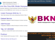 Satu Data ASN Milik BKN Diretas, Dijualbelikan di Dark Web
