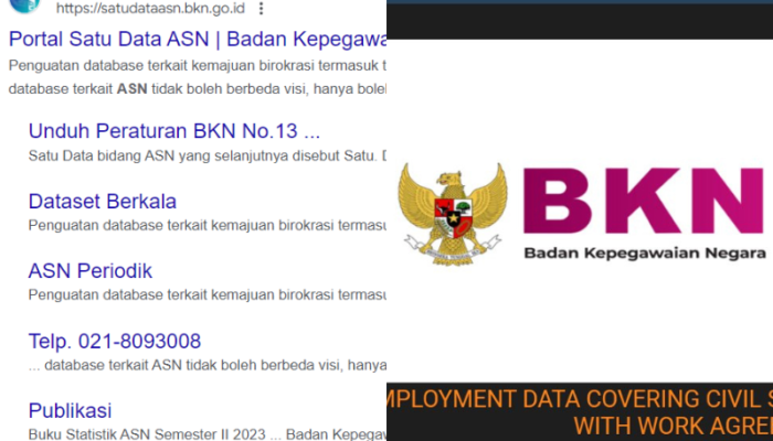 Satu Data ASN Milik BKN Diretas, Dijualbelikan di Dark Web