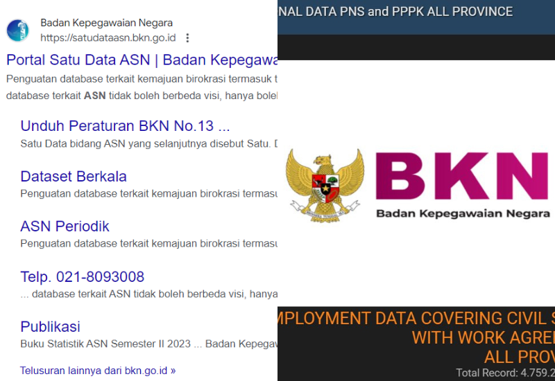 Badan Kepegawaian Negara Diretas