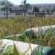 Temukan Botol Kosong Miras di Kawasan Industri Halal Banten, Picu Kecaman Ulama dan Santri