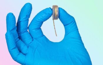 Elon Musk Ciptakan Neuralink, Chip Khusus Untuk Otak Manusia