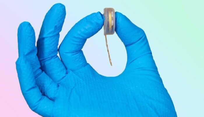 Elon Musk Ciptakan Neuralink, Chip Khusus Untuk Otak Manusia