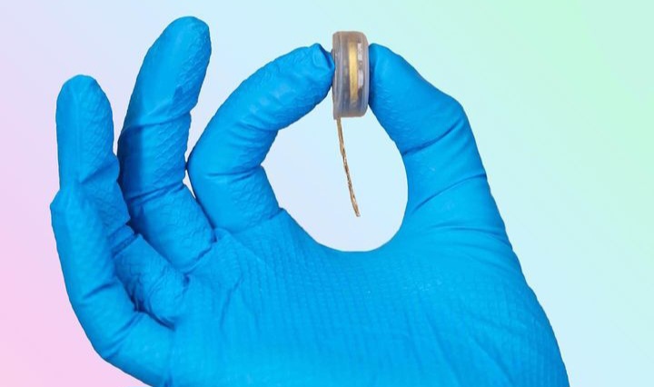 Elon Musk Ciptakan Neuralink, Chip Khusus Untuk Otak Manusia